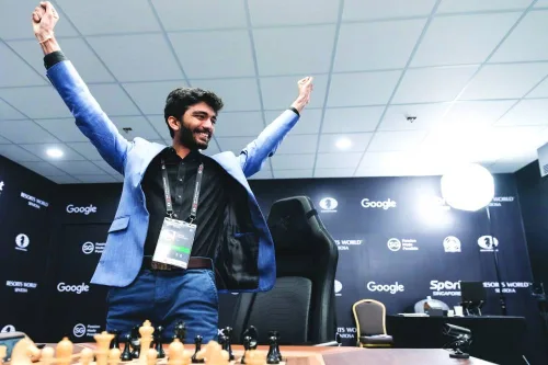 A new world chess champion!